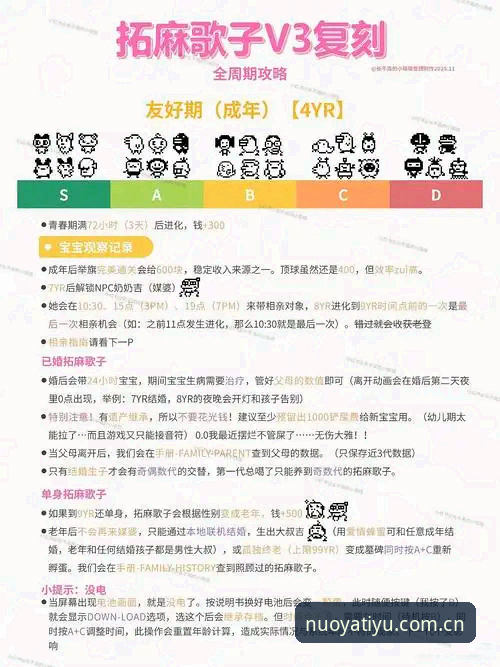 诺亚体育v3中国版直接装实用指南